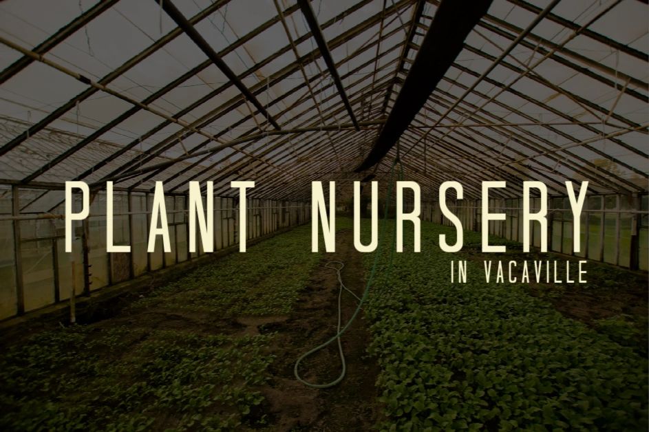 Vacaville Plant Nursery
